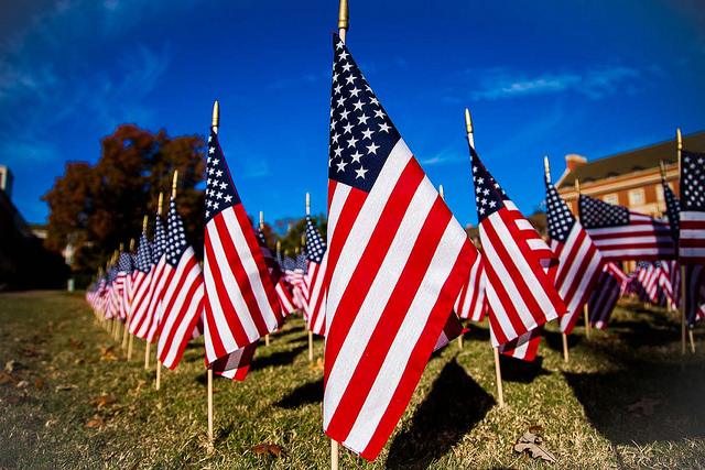 Flags placed on Library Lawn for Veteran's Day Tribute
