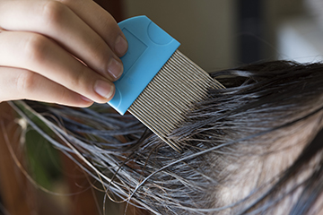 Helping kids avoid head lice at summer camp