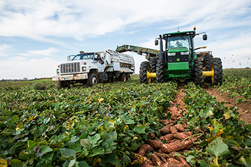 Response deadline looms for land tenure survey sent to Oklahoma agricultural producers