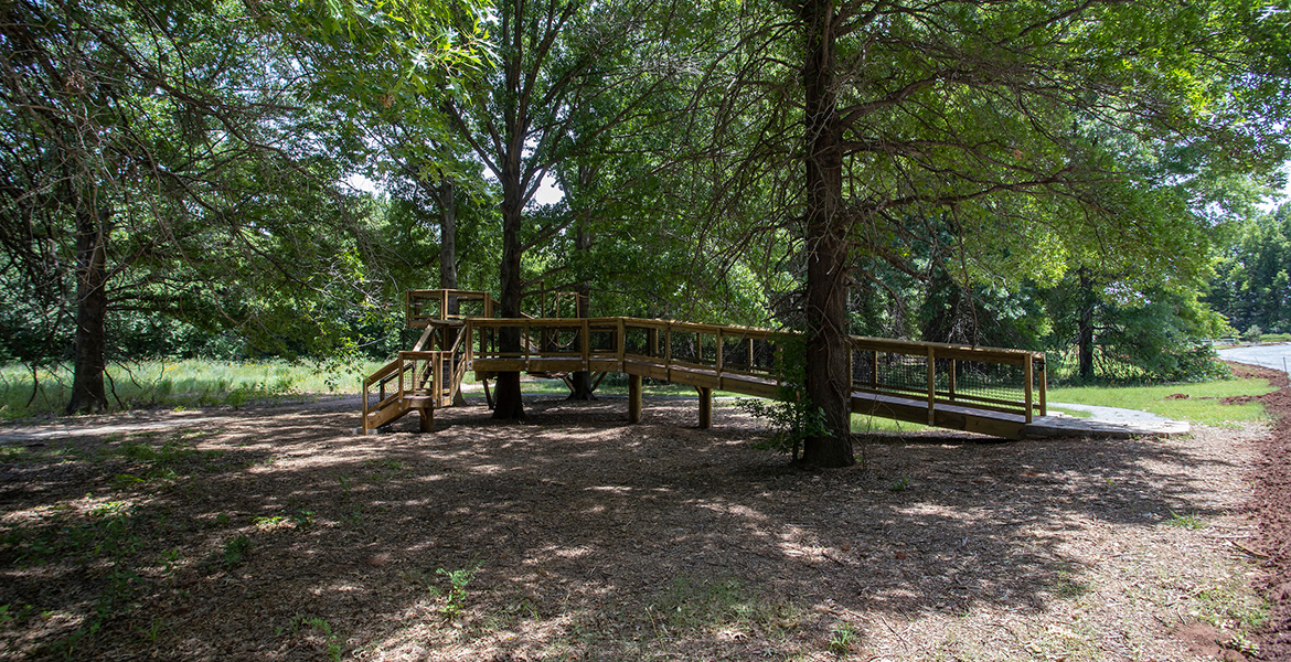 Photo of The Botanic Garden's scenic treewalk.