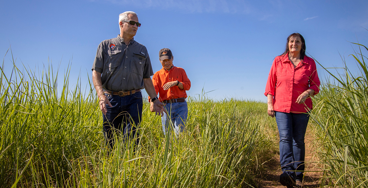 Photo of three researchers walking through grasslands.