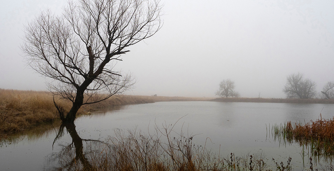 Scenic photo of a farm pond on a foggy morning, still in the throes of winter.