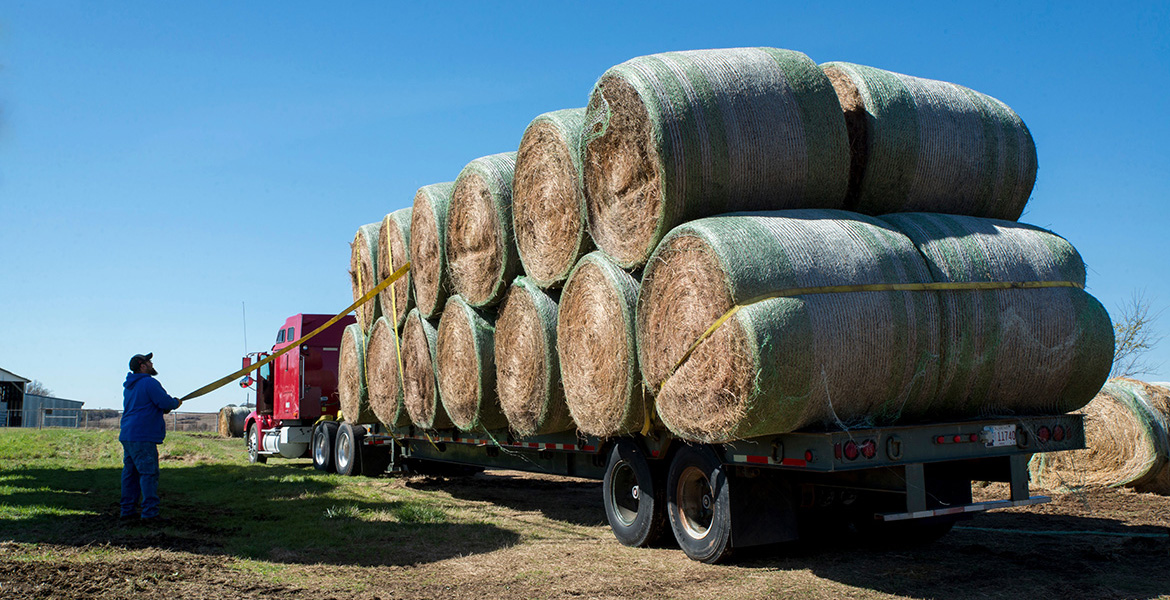 Round bales of hay on a semi-truck.