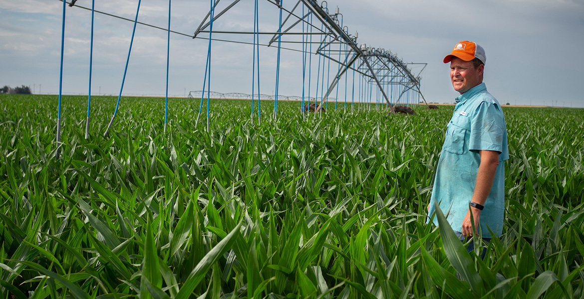 Photo of Jason Warren in a field of irrigated corn.