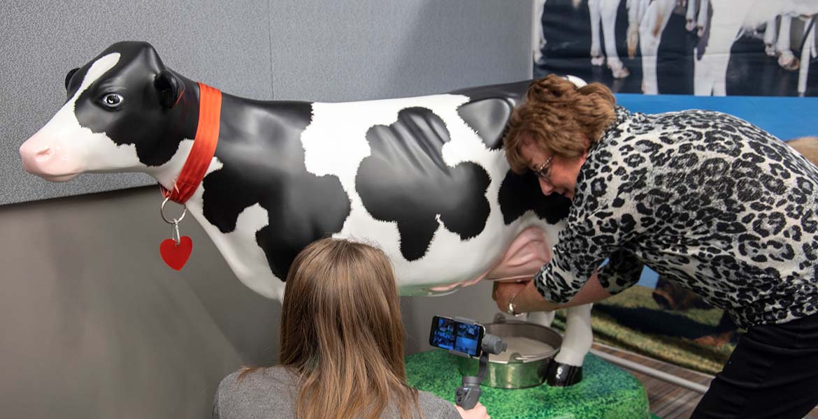 Photo of OSU Extension worker milking an interactive plastic dairy cow.