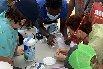 Boy Scouts work on merit badge at OSU’s Insect Adventure