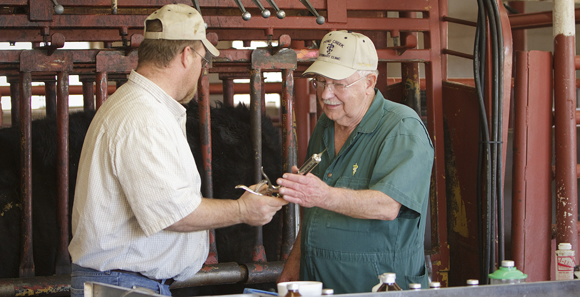 Photo of agricultural producer being helped by a veterinarian.