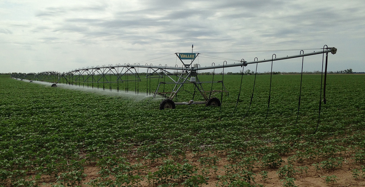 Crop irrigation system in field