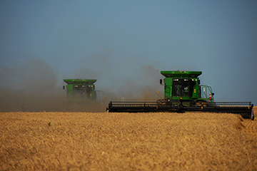 Wheat harvest adapts to COVID-19 precautions