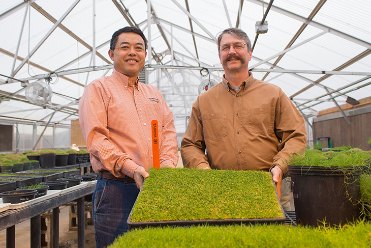 Yanqi Wu and Dennis Martin in bermudagrass lab.