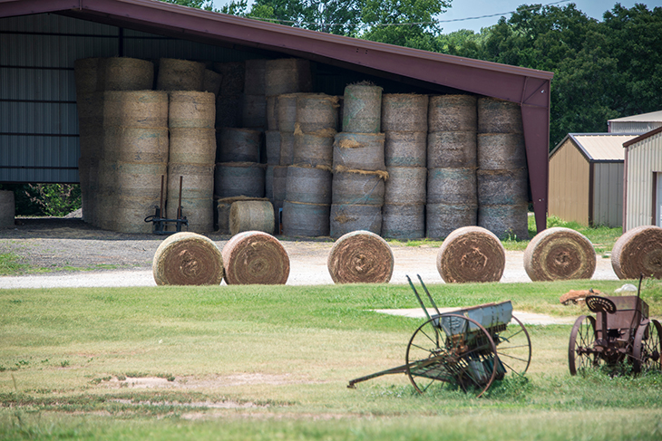 Photo of hay being stored in barn.