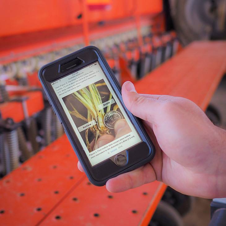 Photo of hand using mobile phone to connect to internet.