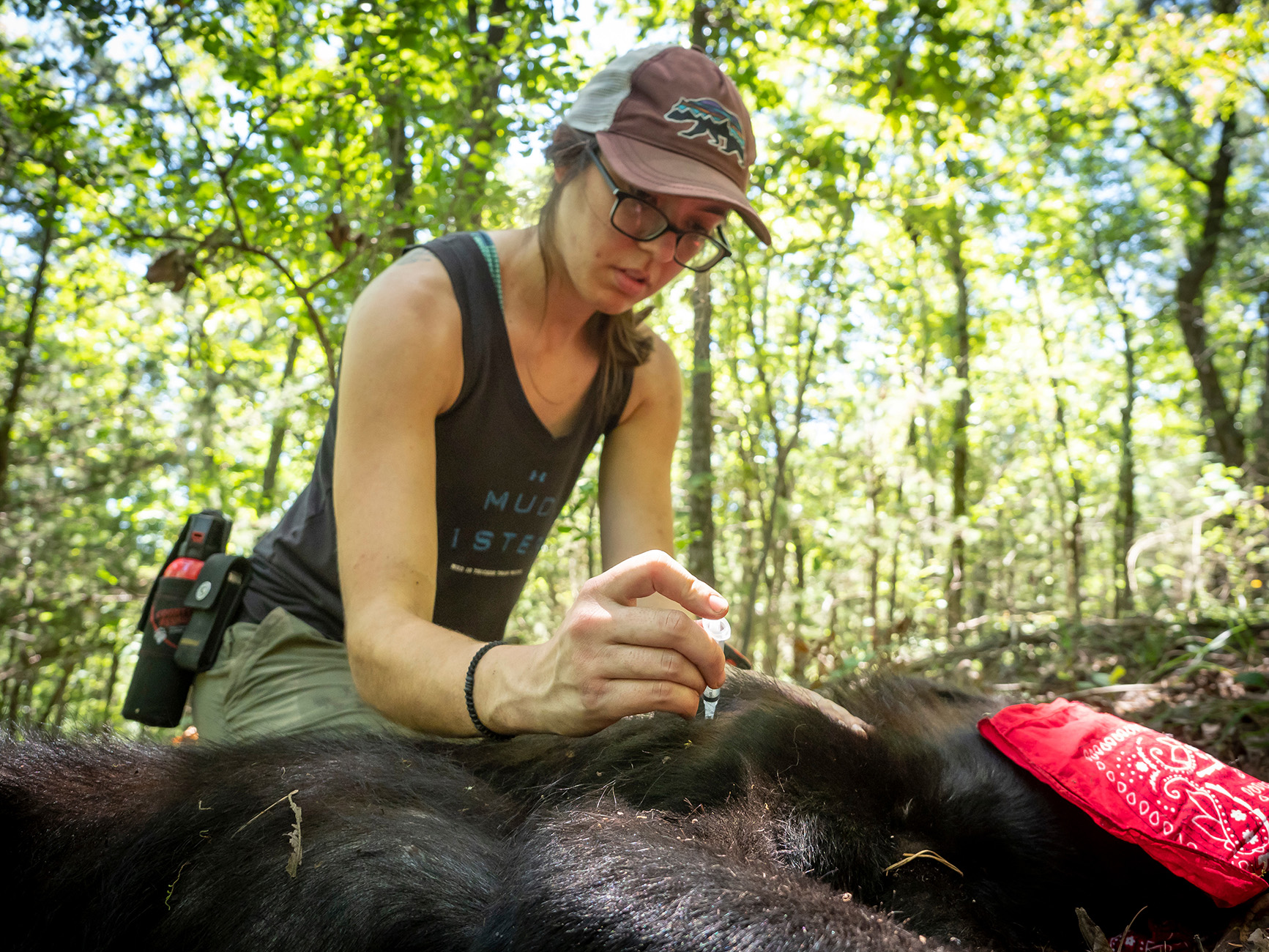 Technician taking blood sample