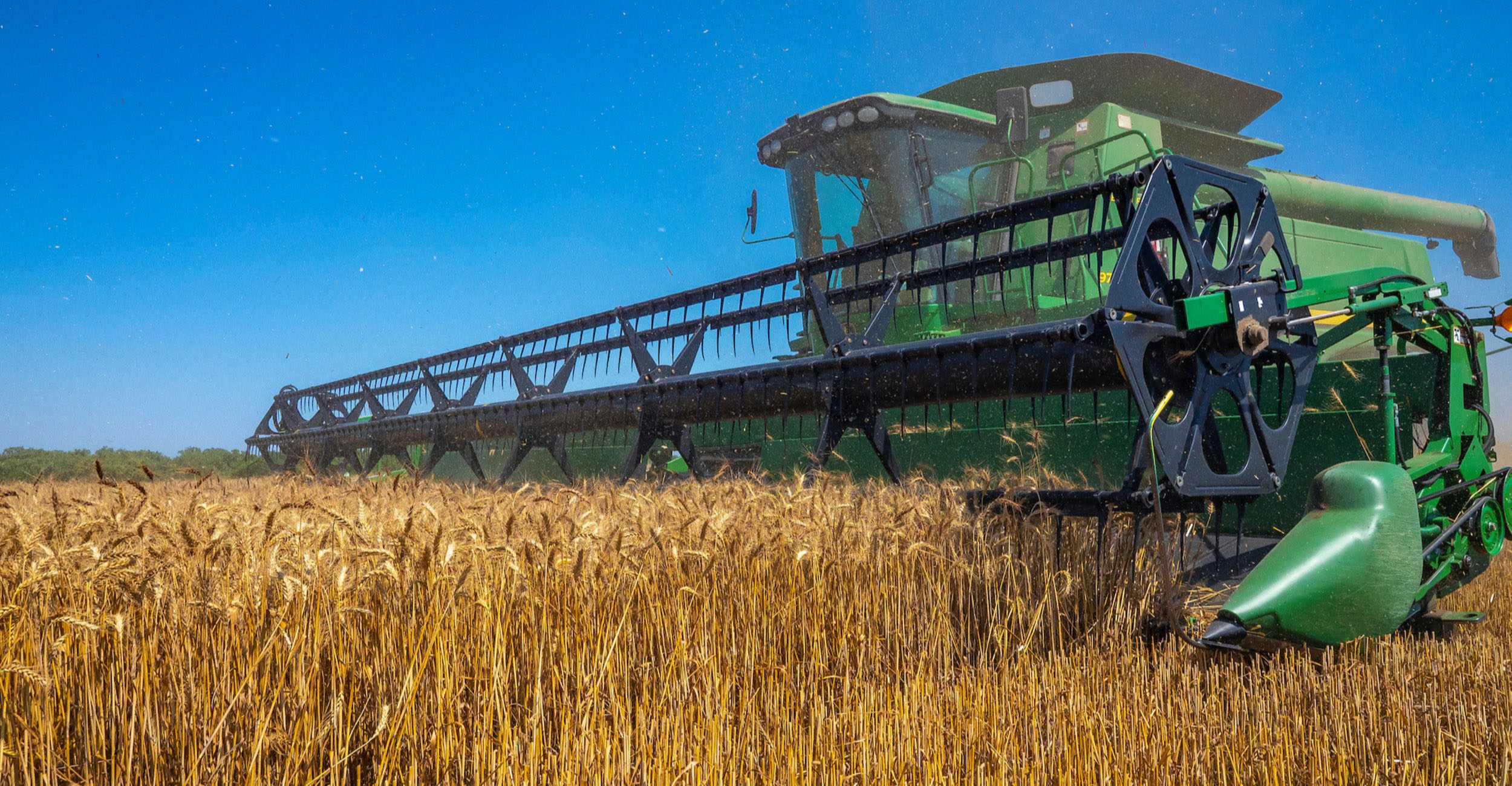 2021 wheat harvest