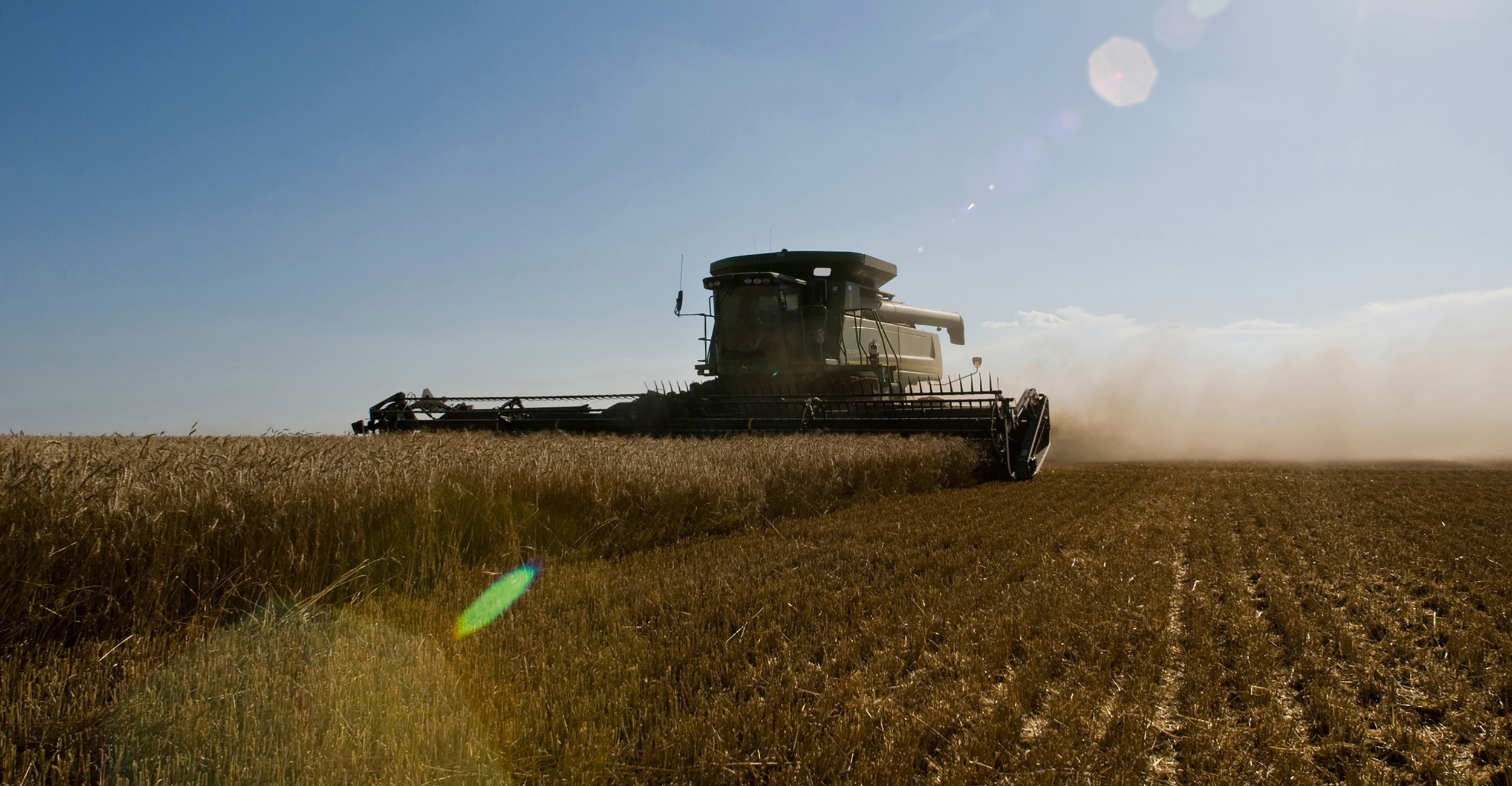 Photo of a combine harvesting wheat.