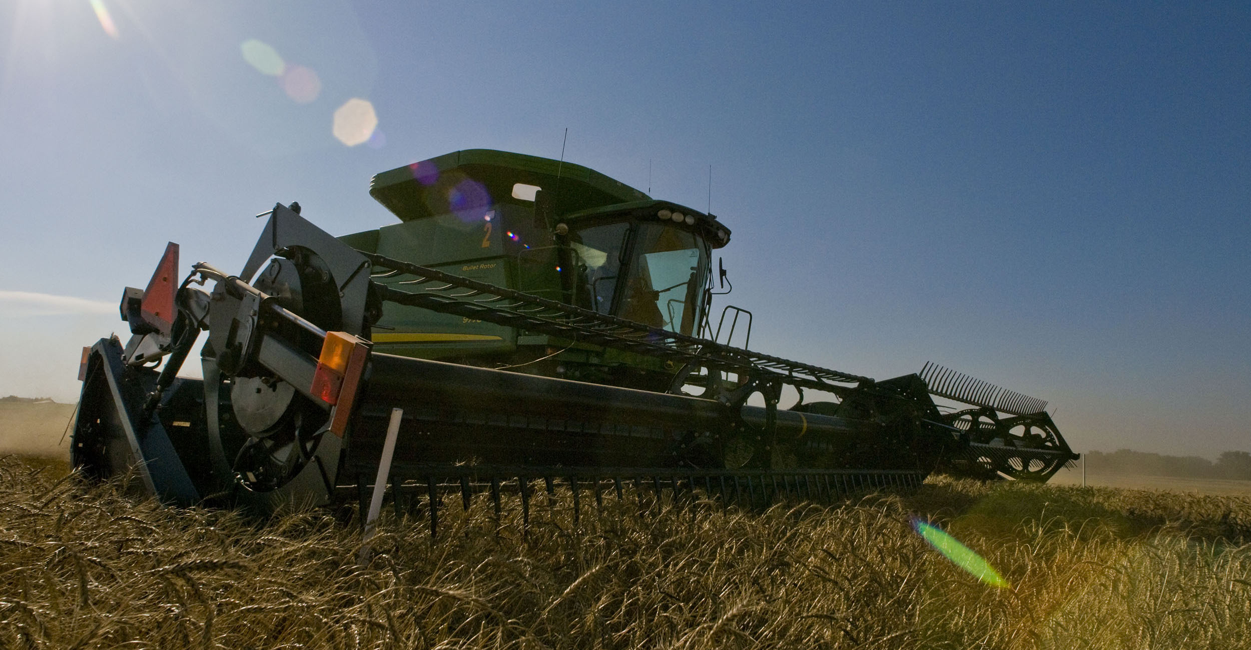 Photo of golden wheat being harvested.