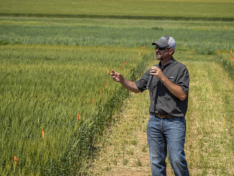 Brian Arnall, OSU Extension specialist for precision nutrient management