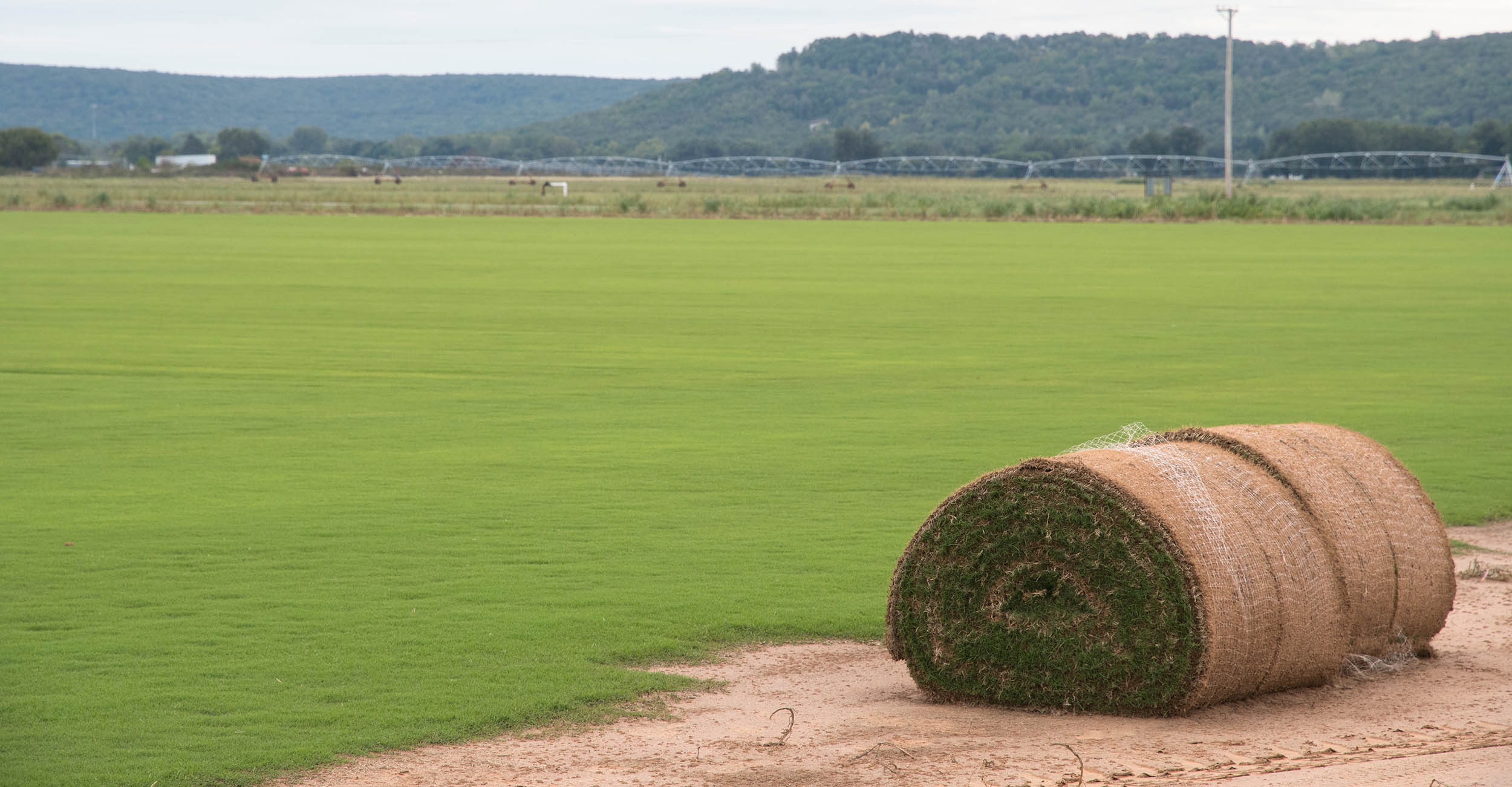 Super Bowl 2023: What kind of grass does State Farm Stadium have