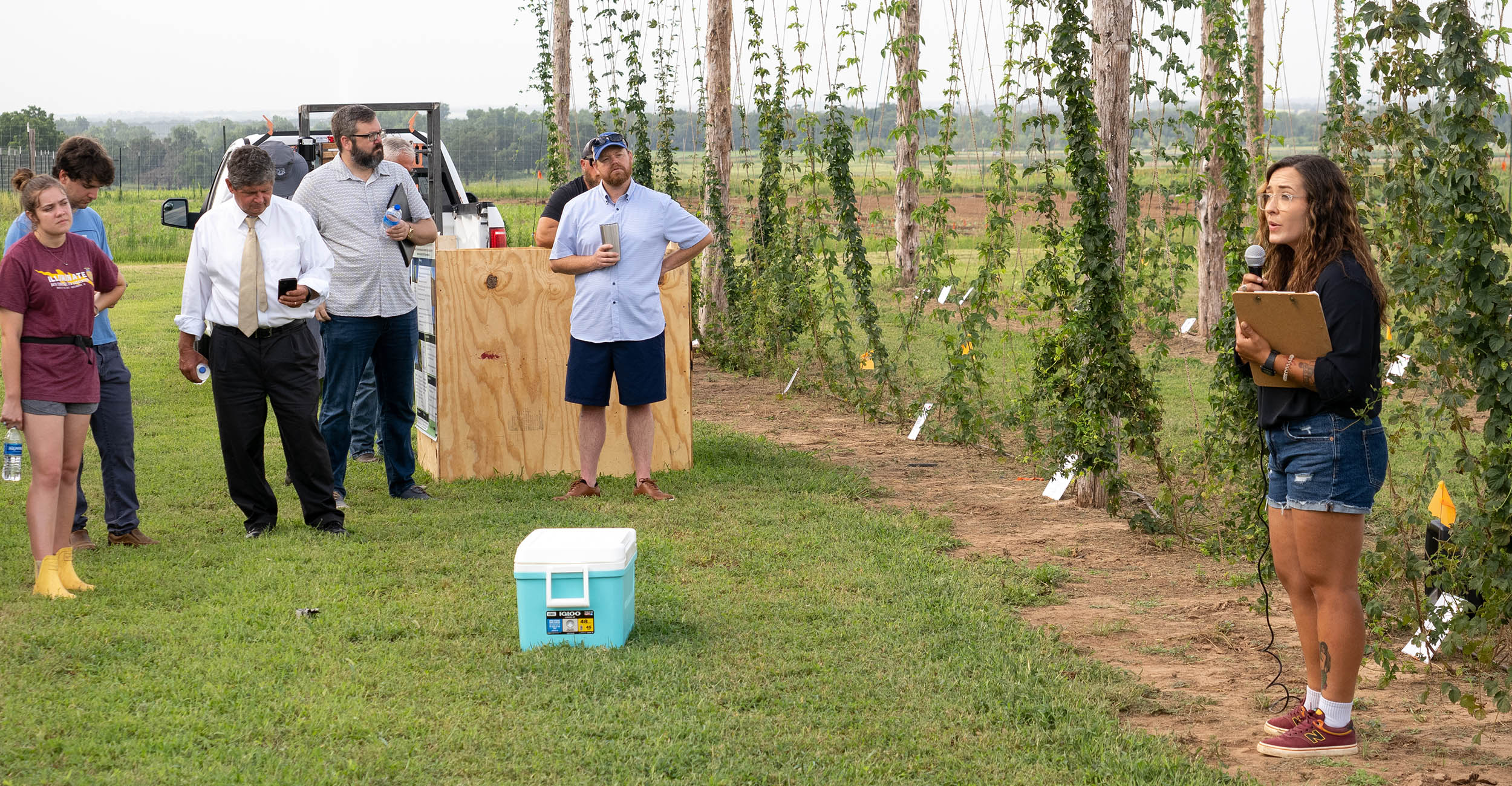 Explore hops and grapes production at July 19 field day | Oklahoma ...