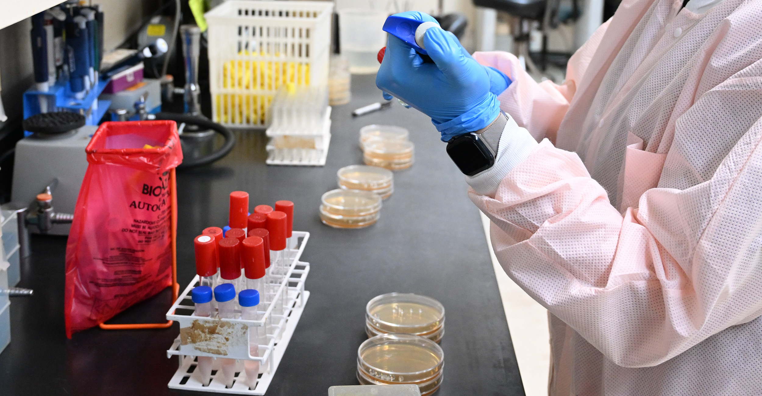 OSU’s Food and Ag Products Center launches Food Forum webinars to connect industry with expertise
