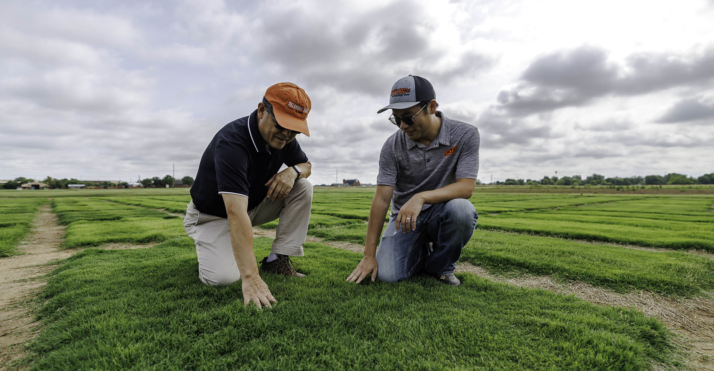 OSU Ag scientists exploring winter-hardy bermudagrass, safer wastewater and Oklahoma’s black bear populations