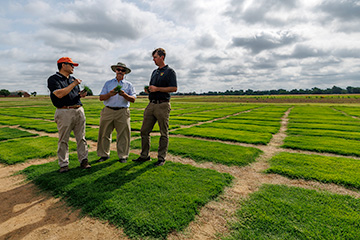 Three people stand in a large research field of neatly arranged rectangular grass plots, holding samples of turf and talking under a cloudy sky. Dirt paths separate the bright green test plots, with trees and low buildings visible in the distance.