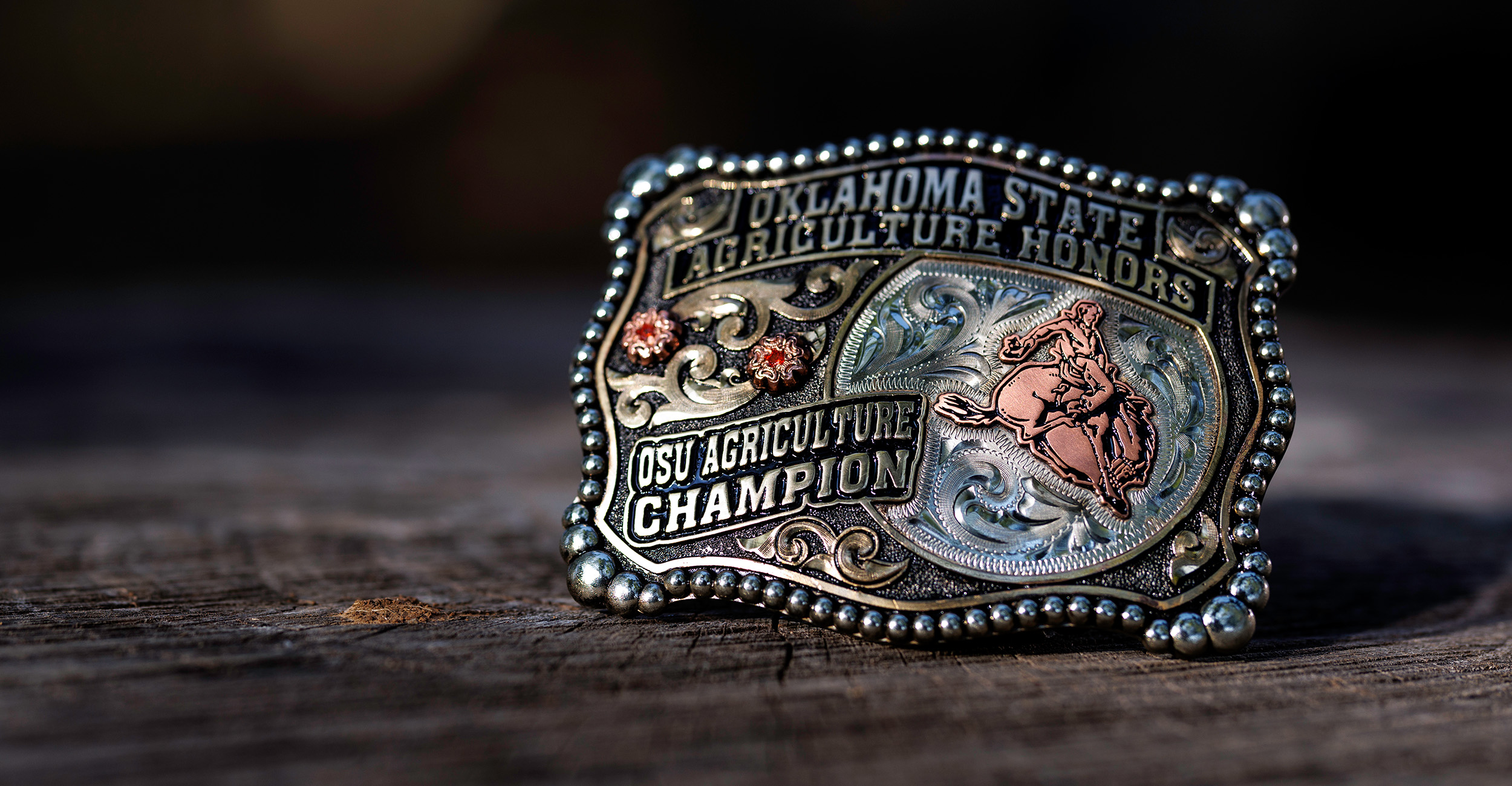 OSU Agriculture names 2026 Champion