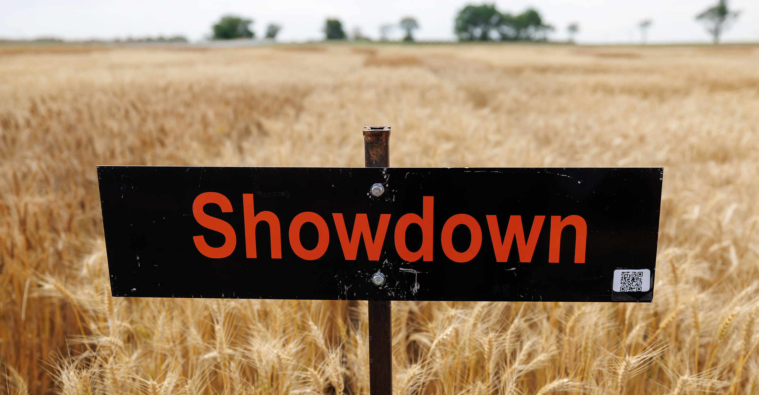 Wheat producers benefit from OSU Wheat Variety Trials