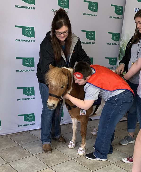 child hugging a miniature horse