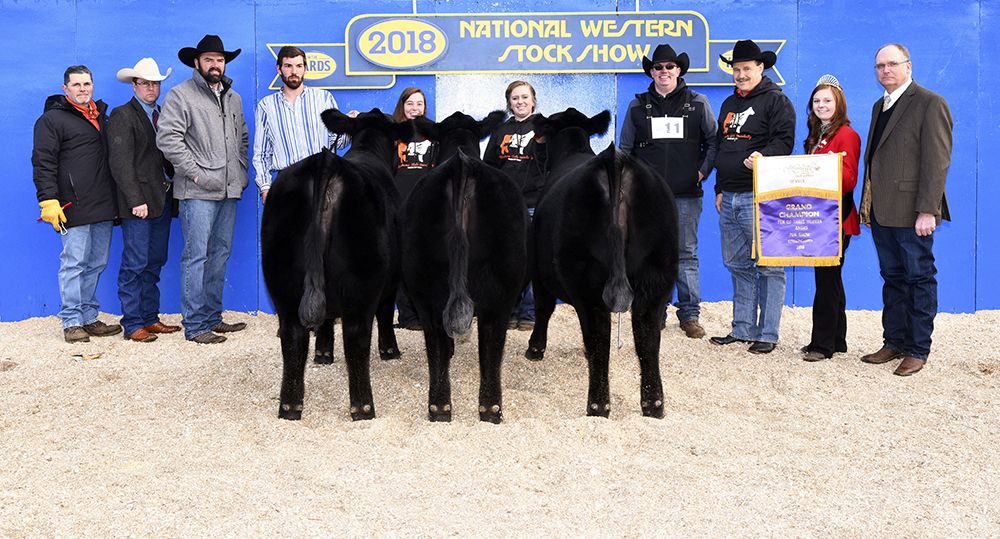 2018 NWSS Champion Pen of Three