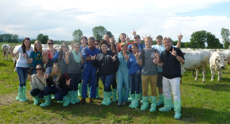 Italy Study Abroad Trip with Dr. Spicer; visiting piedmontese cattle ranch