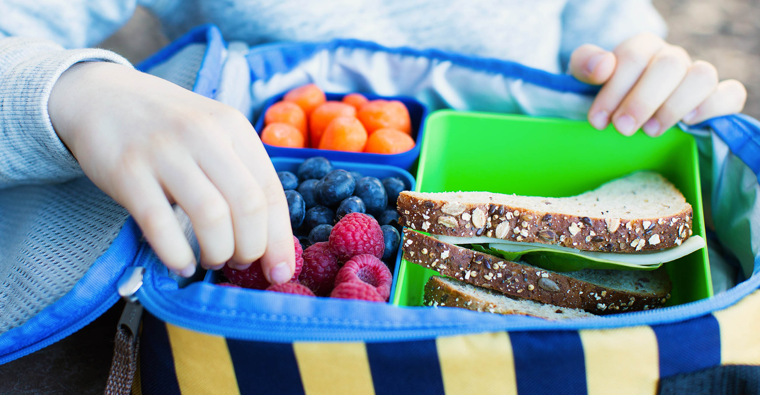 Back To School Lunch Box Food Safety Oklahoma State University
