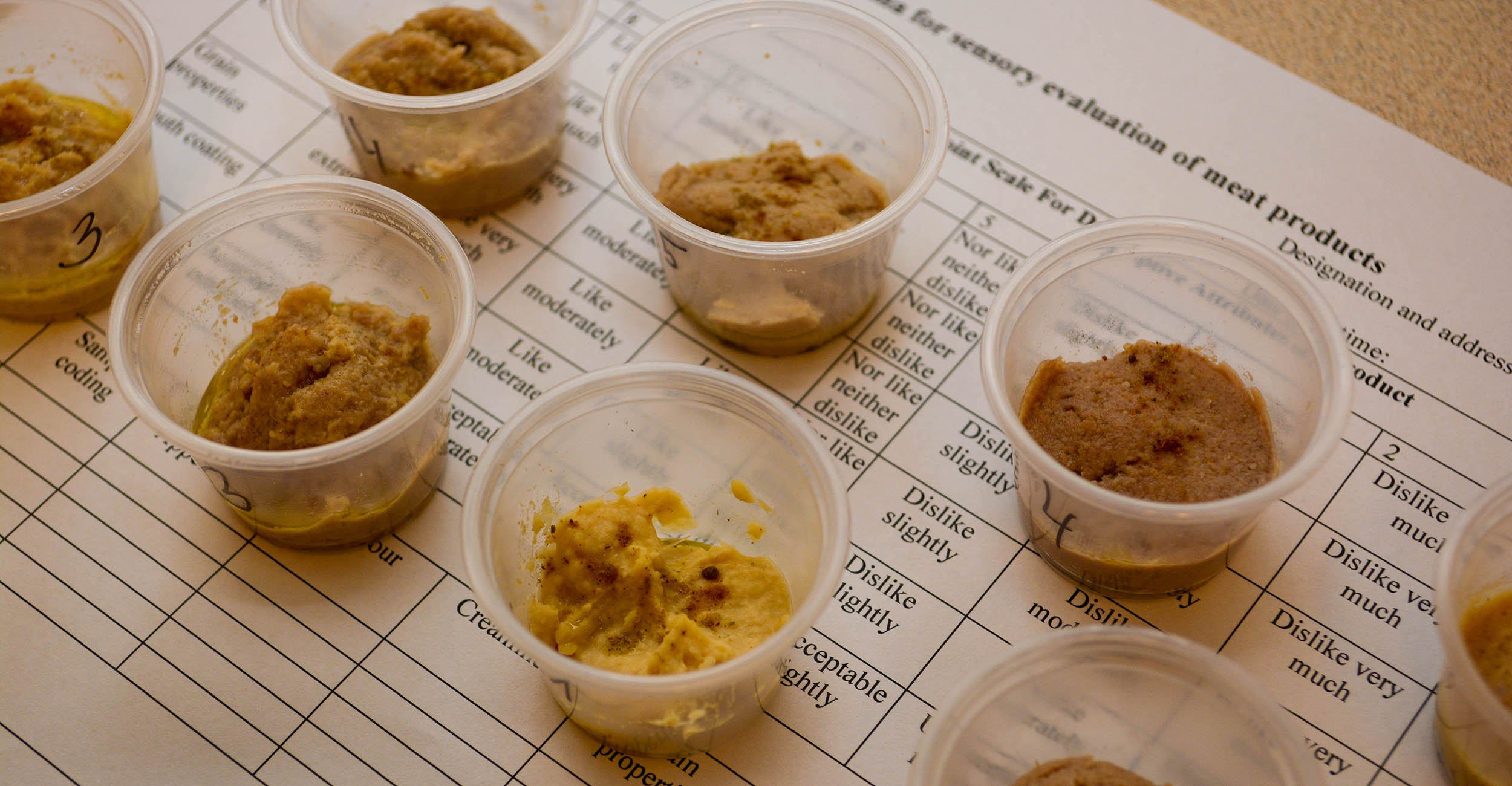 Tan-colored hummus scooped in small plastic cups sitting on a counter surface.