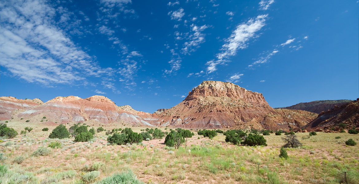 Blue skies and the sparse, shrubby rangeland of New Mexico in front of a red rock mountain.
