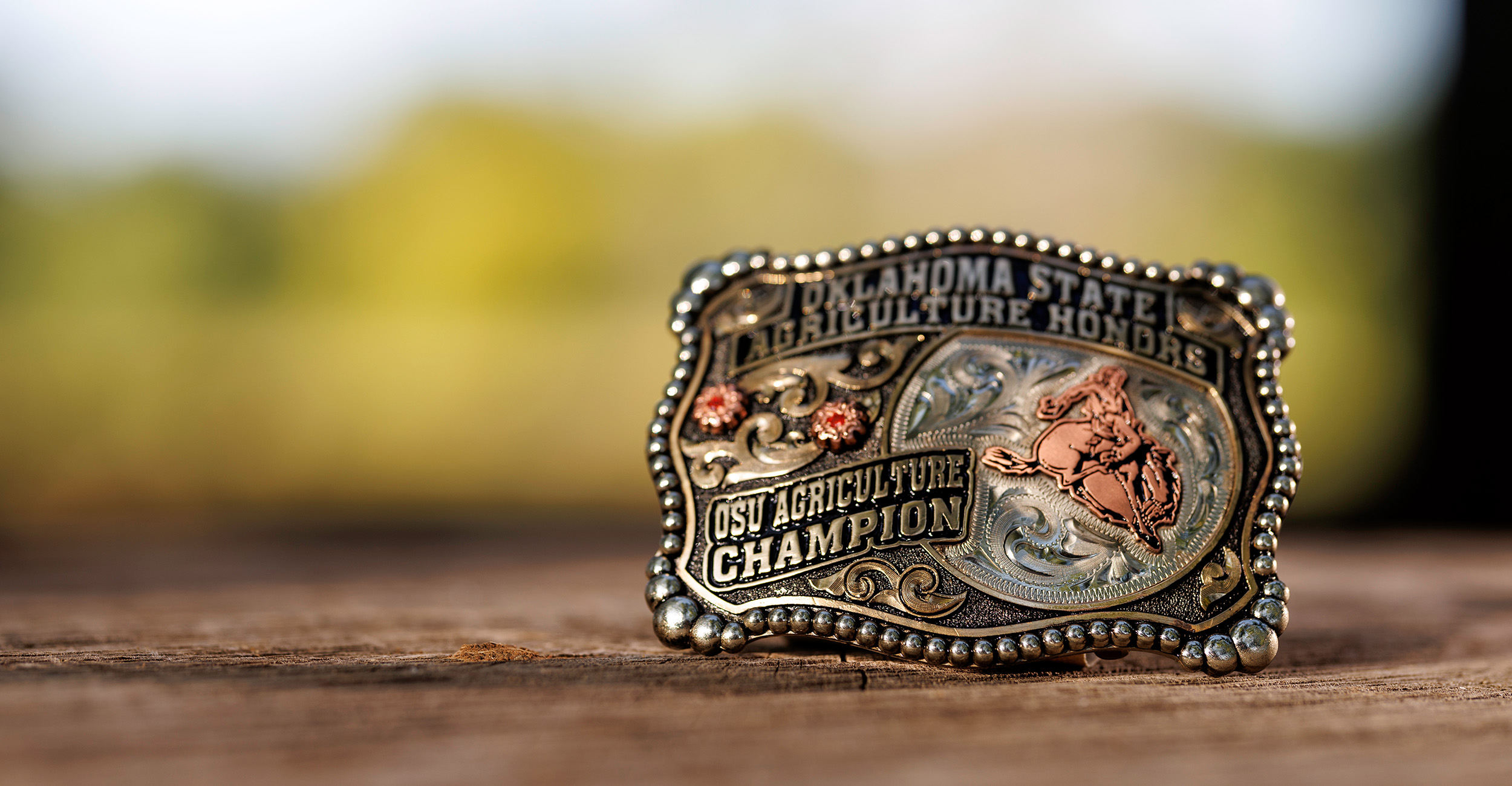 OSU Agriculture Champion buckle
