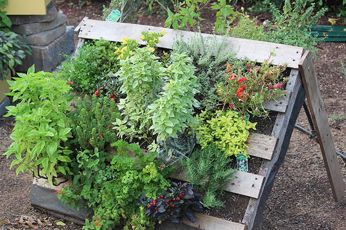 Vertical gardening pallet