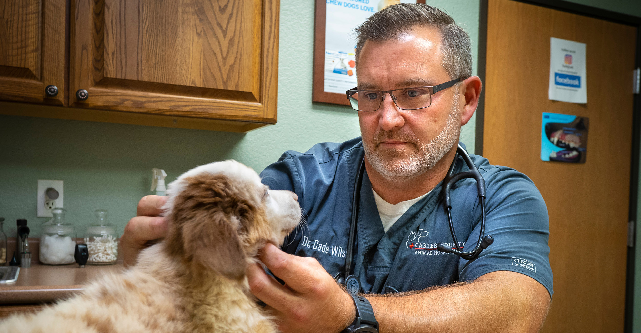 Veterinarians, pet owners struggle with payment plans | Oklahoma State  University