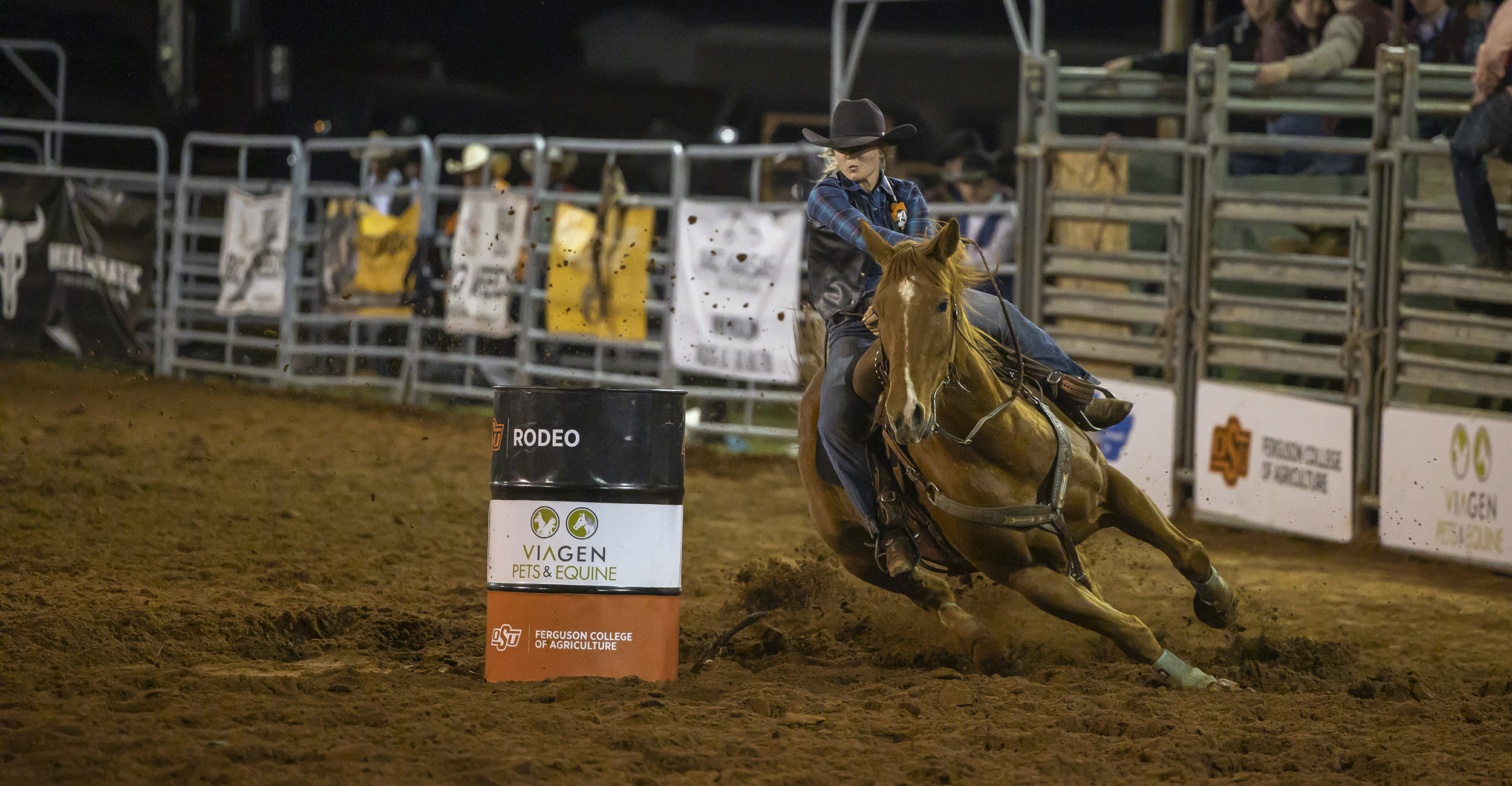 OSU sends five to College National Finals Rodeo Oklahoma State University