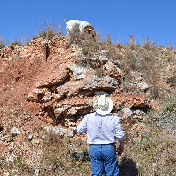 Todd Felder looks for western diamondback rattlesnakes on a ranch near Okeene, Oklahoma.