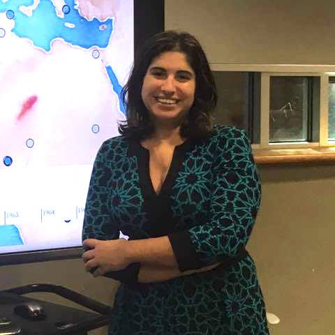 Roopika Risam