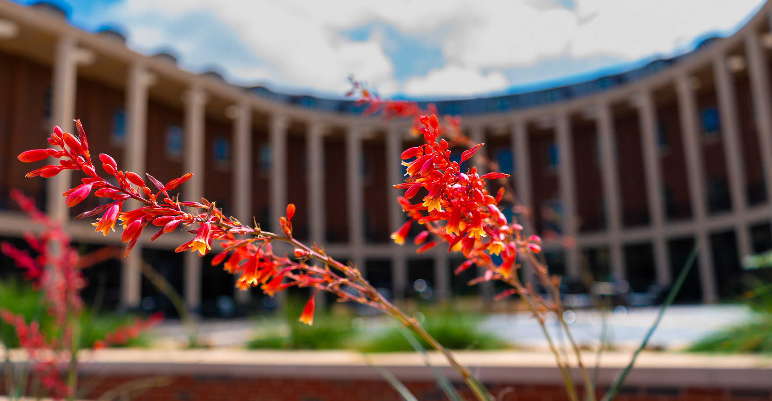 12 Spears School of Business students selected as OSU Seniors of Significance