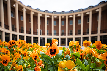 An OSU campus scenery photo. Orange flowers grow outside the Business Building.