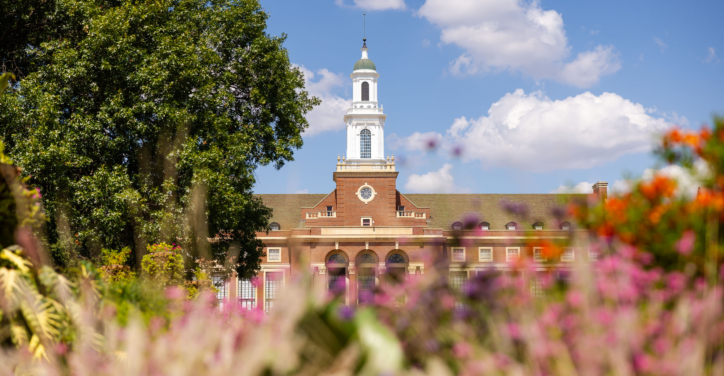 Photo of Edmon Low Library shot through a flowerbed in front of the OSU Student Union.