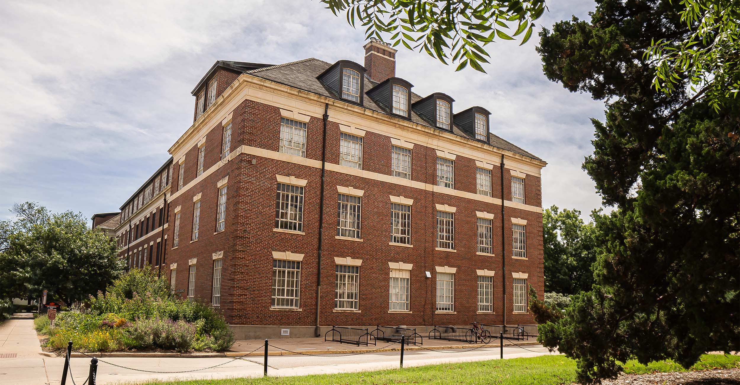 Driven to heal: How OSU students are turning passion for research into real-world impact