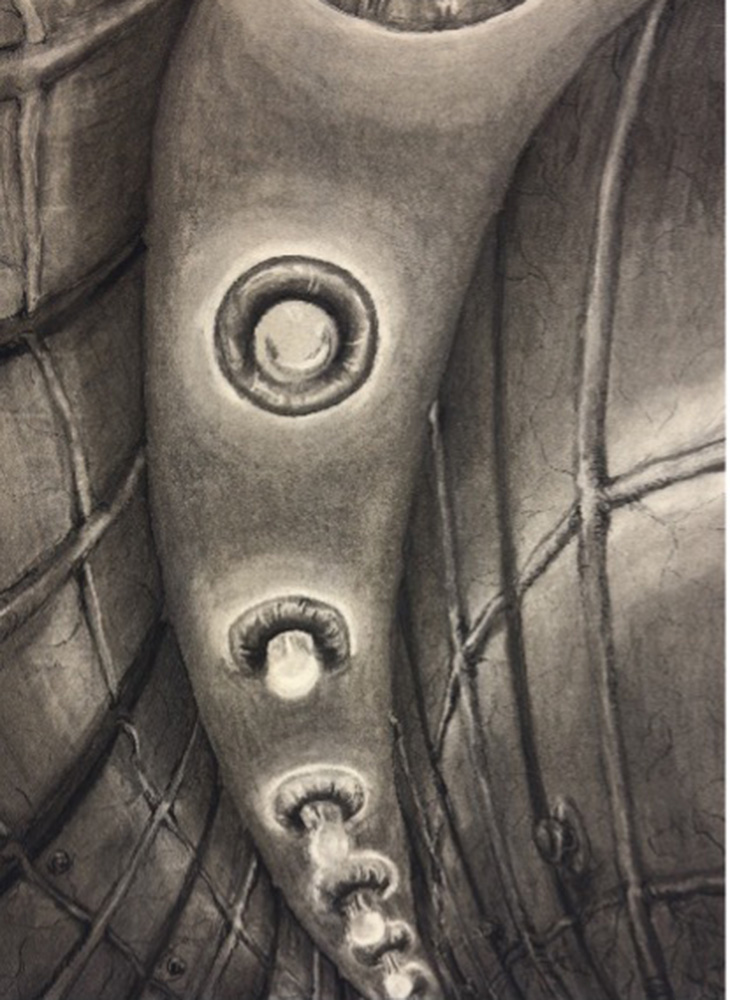 Grayscale drawing depicting an elongated, organic, tubular form with a series of circular, eye‑like openings running down its center against a textured, ribbed background.