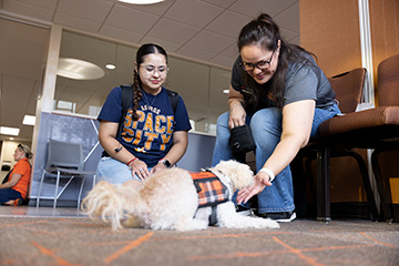 A therapy dog greets students inside an Oklahoma State University building during a National Dog Day event focused on campus engagement and wellness.