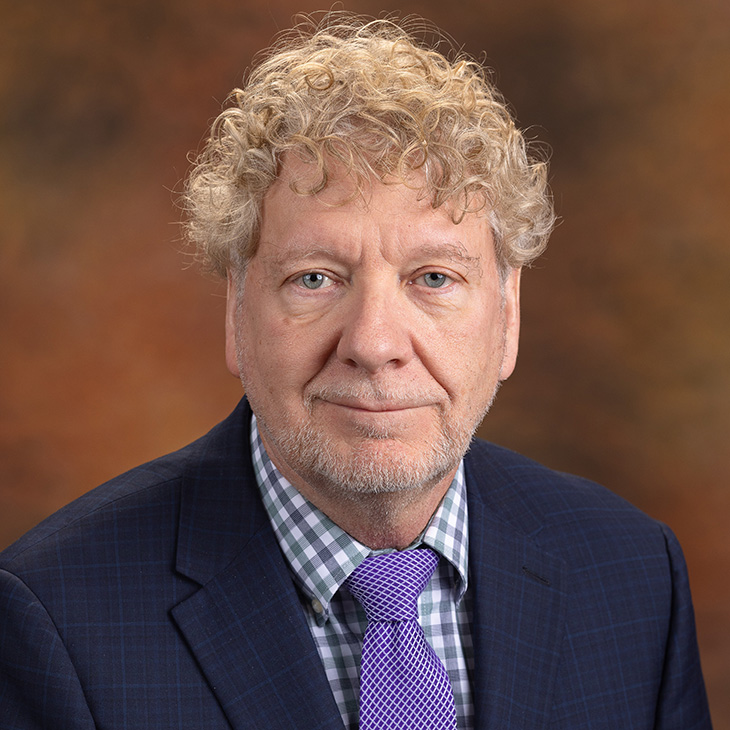 Formal headshot of a person wearing a dark blue suit jacket, checkered shirt and purple tie against a brown background.