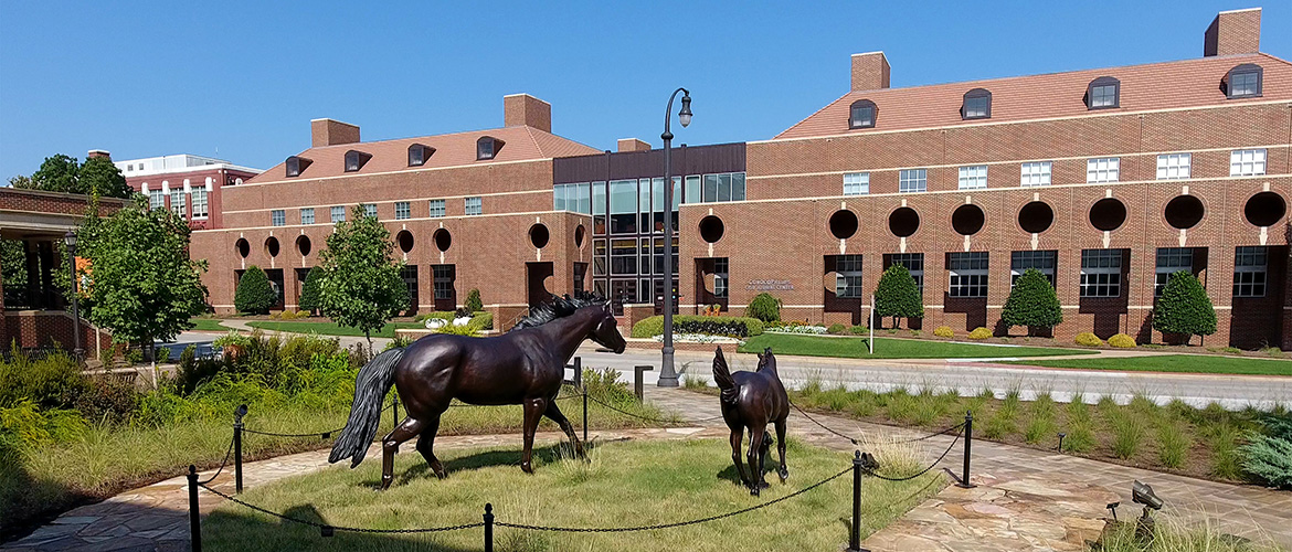 Osu Alumni Association Names 52 Seniors Of Significance Oklahoma State University 5779