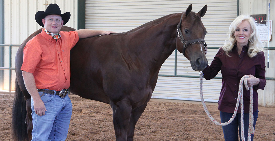 OSU Veterinarians Treat a Show Horse for Terry Bradshaw