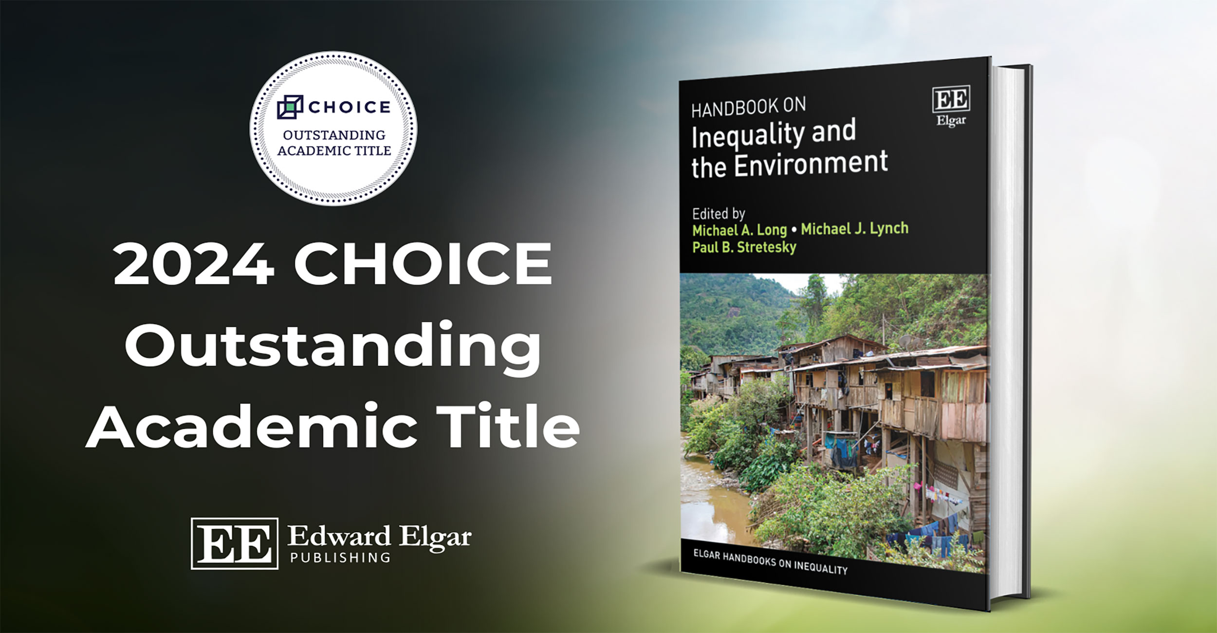 Book cover for Handbook on inequality and the environment